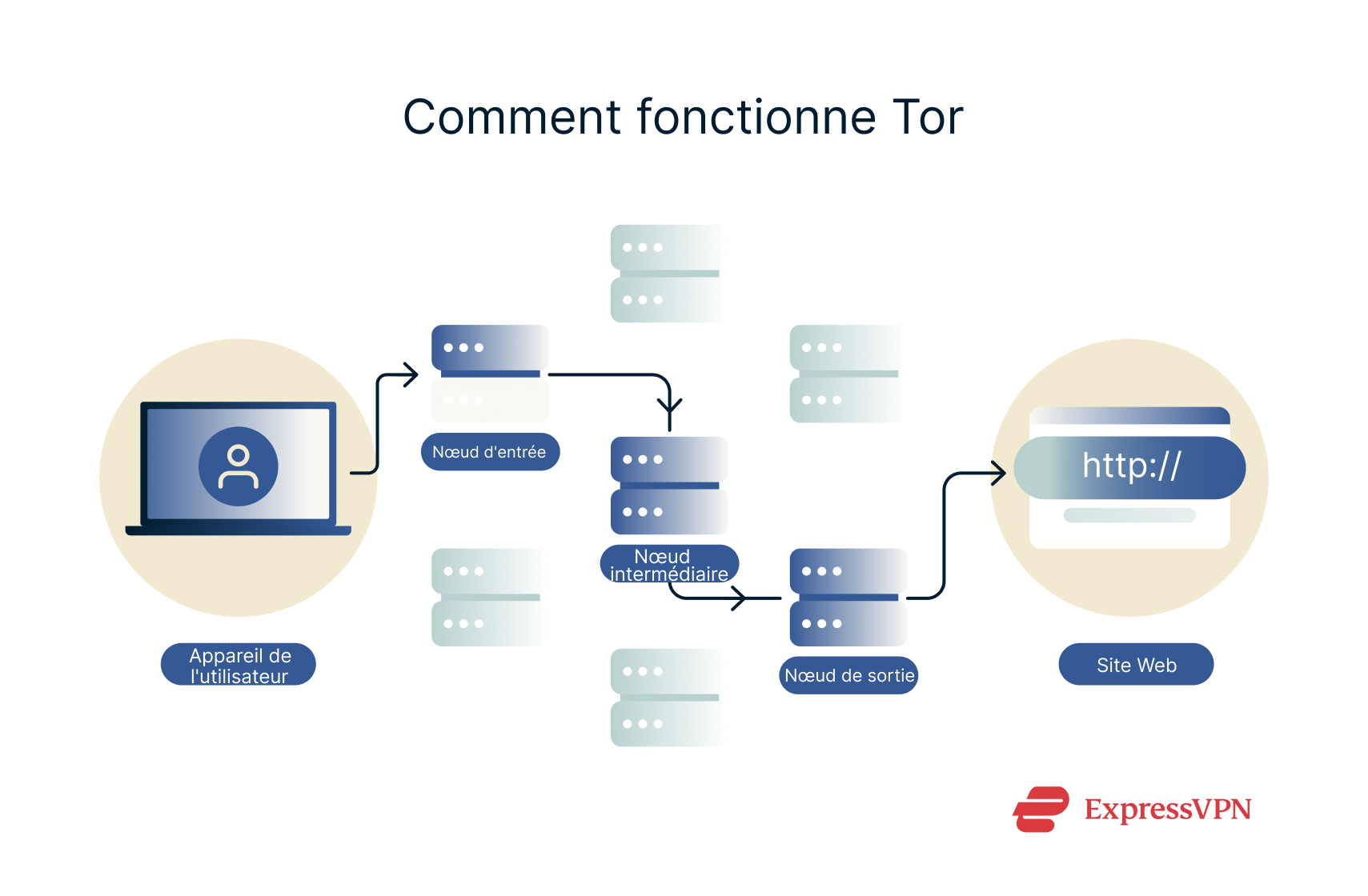 A diagram showing how Tor works.