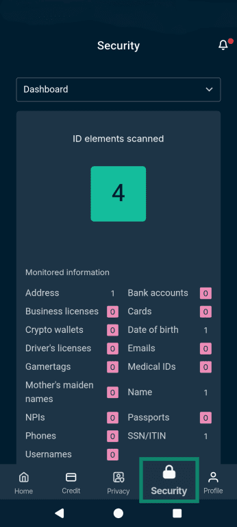 The Identity Defender Security tab, highlighting its location on the bottom right.