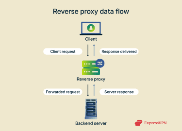 Reverse proxy diagram showing data flow between client, proxy, and backend server.