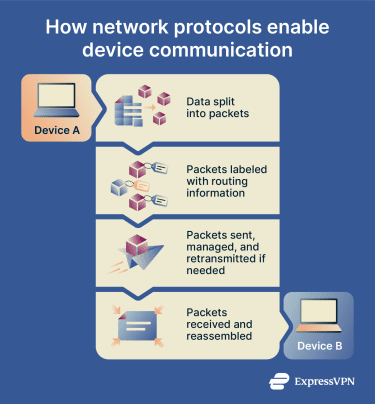 How network protocols enable device communication.
