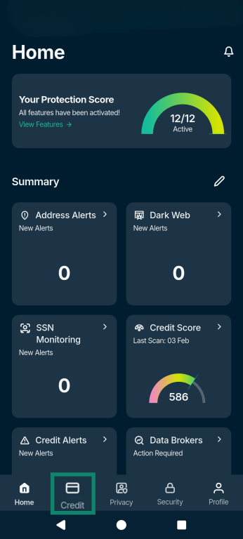 The Identity Defender homepage, showing the Credit tab.